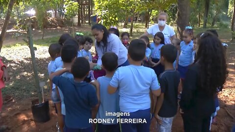 Semana Meio Ambiente: ações no vale do aço para conscientizar população sobre a natureza