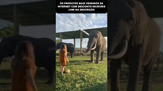 GAROTA JOGANDO FUTEBOL COM UM ELEFANTE