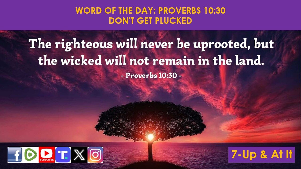 WORD OF THE DAY: PROVERBS 10:30 - DON'T GET PLUCKED