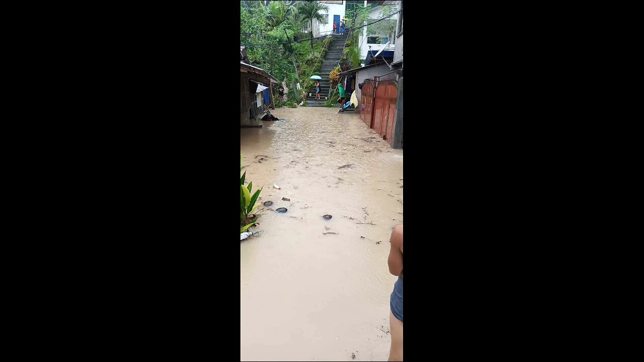 a poor turtle spotted