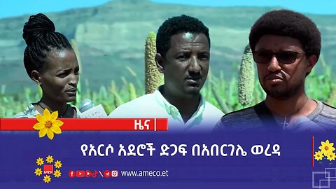 የአርሶ አደሮች ድጋፍ በአበርገሌ ወረዳ