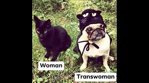 This mother of a kindergarten aged child: