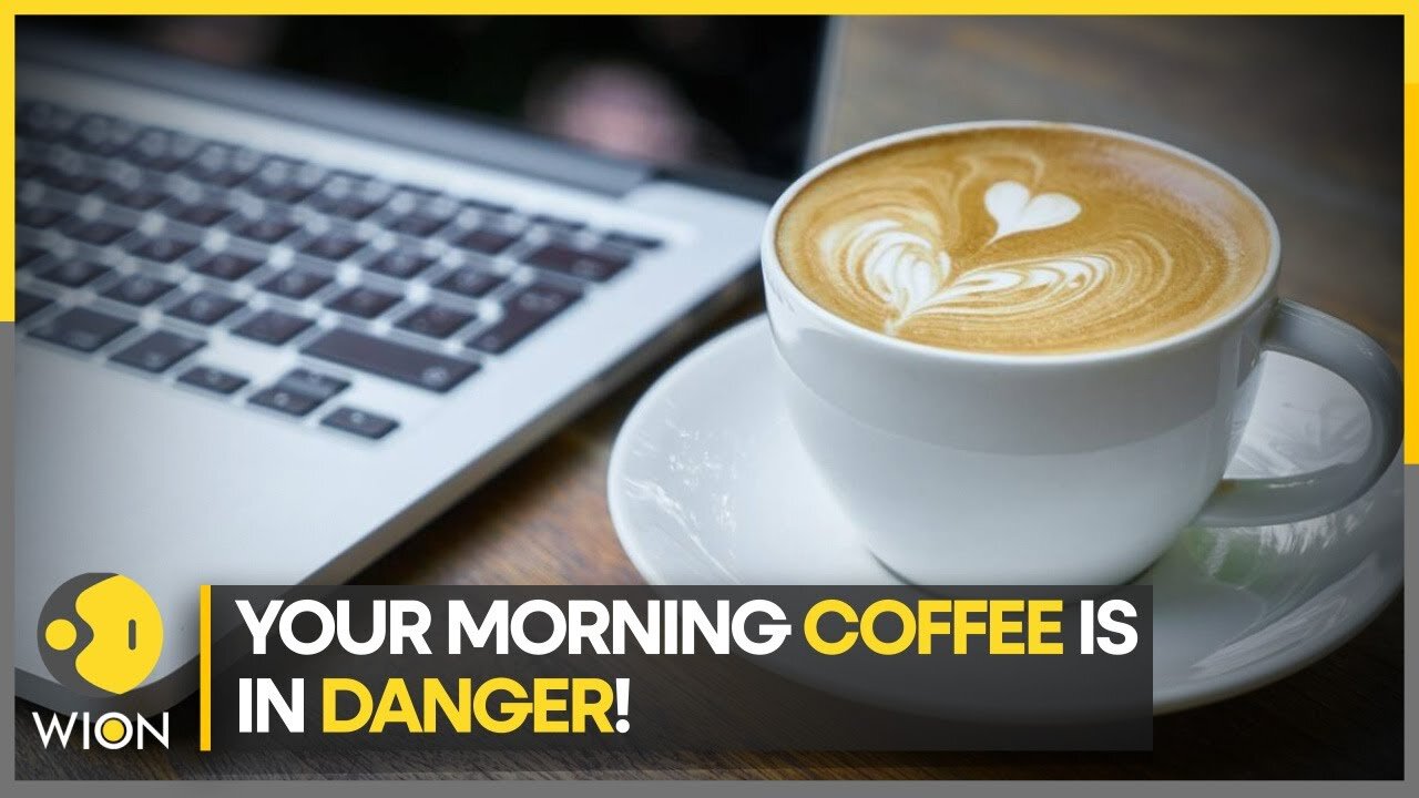 Climate crisis is coming for our coffee I WION Climate Tracker I WION