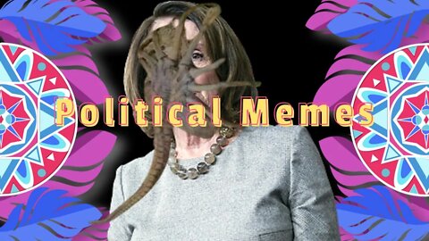 More Political Memes 😂
