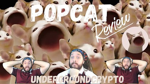 (POPCAT) Why Popcat? Number One Solana Cat Meme Coin?