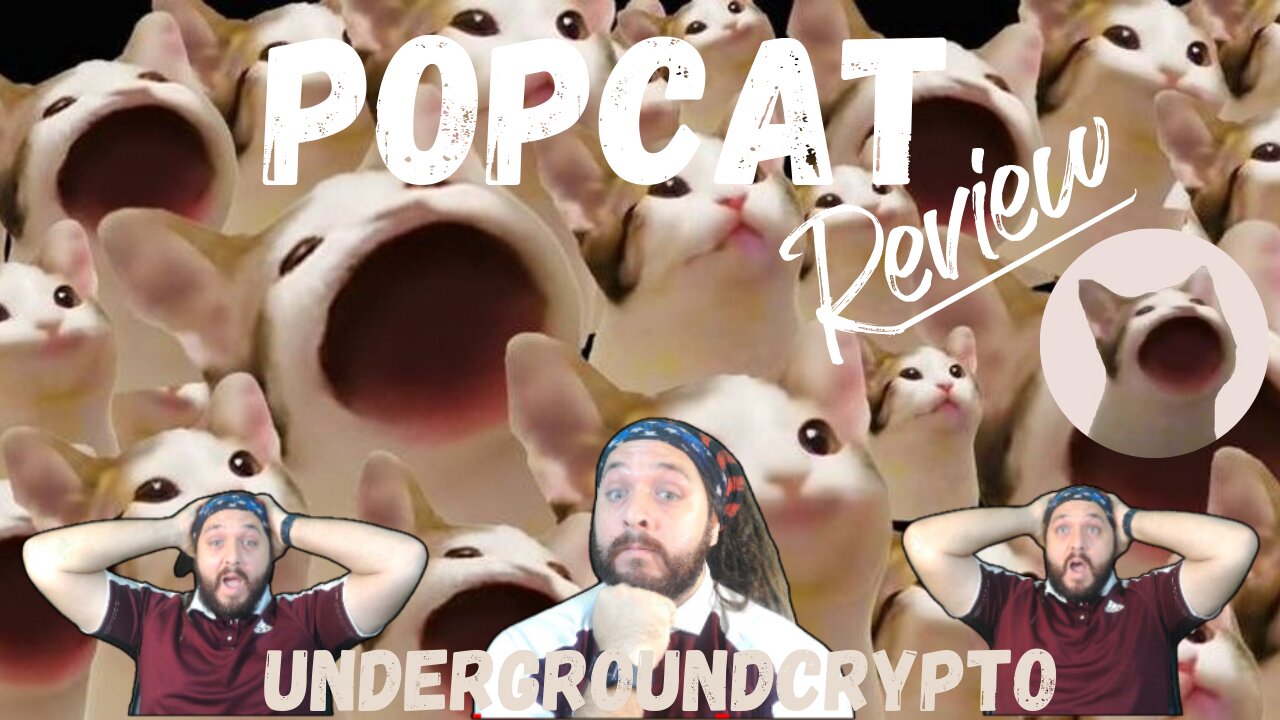 (POPCAT) Why Popcat? Number One Solana Cat Meme Coin?