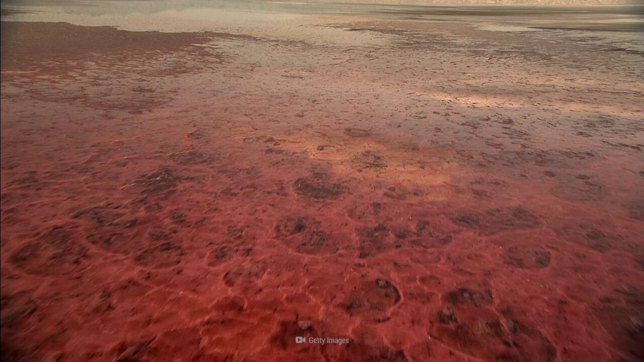 What If You Drank From Lake Natron?