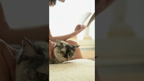 KUCING LUCU #PART 60
