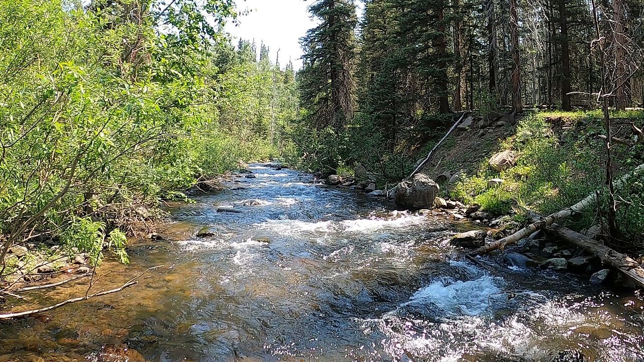 This stream wasn't easy to fish but it was definitely worth the effort!