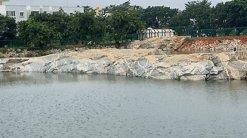 Bengaluru Lake view series 1 with birds