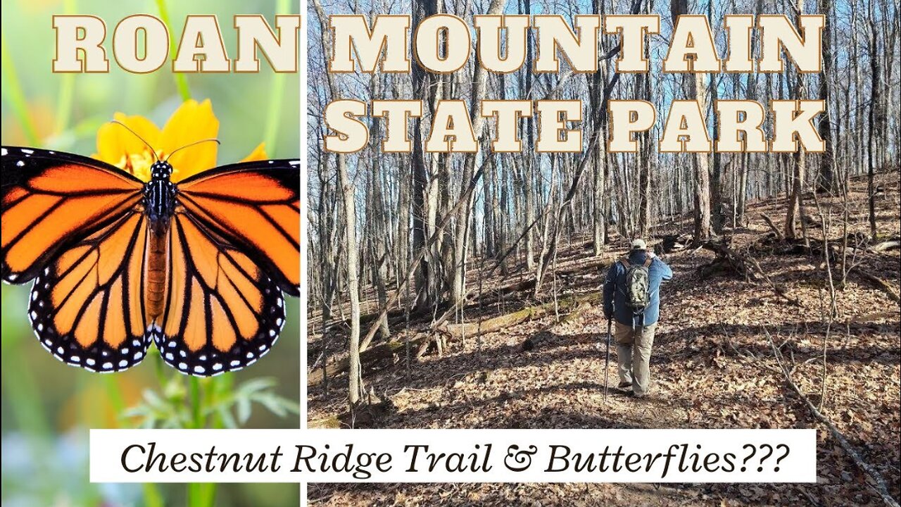 Nature's Hidden Gem: Chestnut Ridge Trail Hike & Butterfly Sanctuary at Roan Mountain State Park