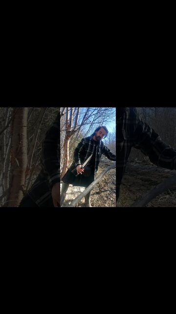 Cold Steel Scottish Dirk 1 - bush knife