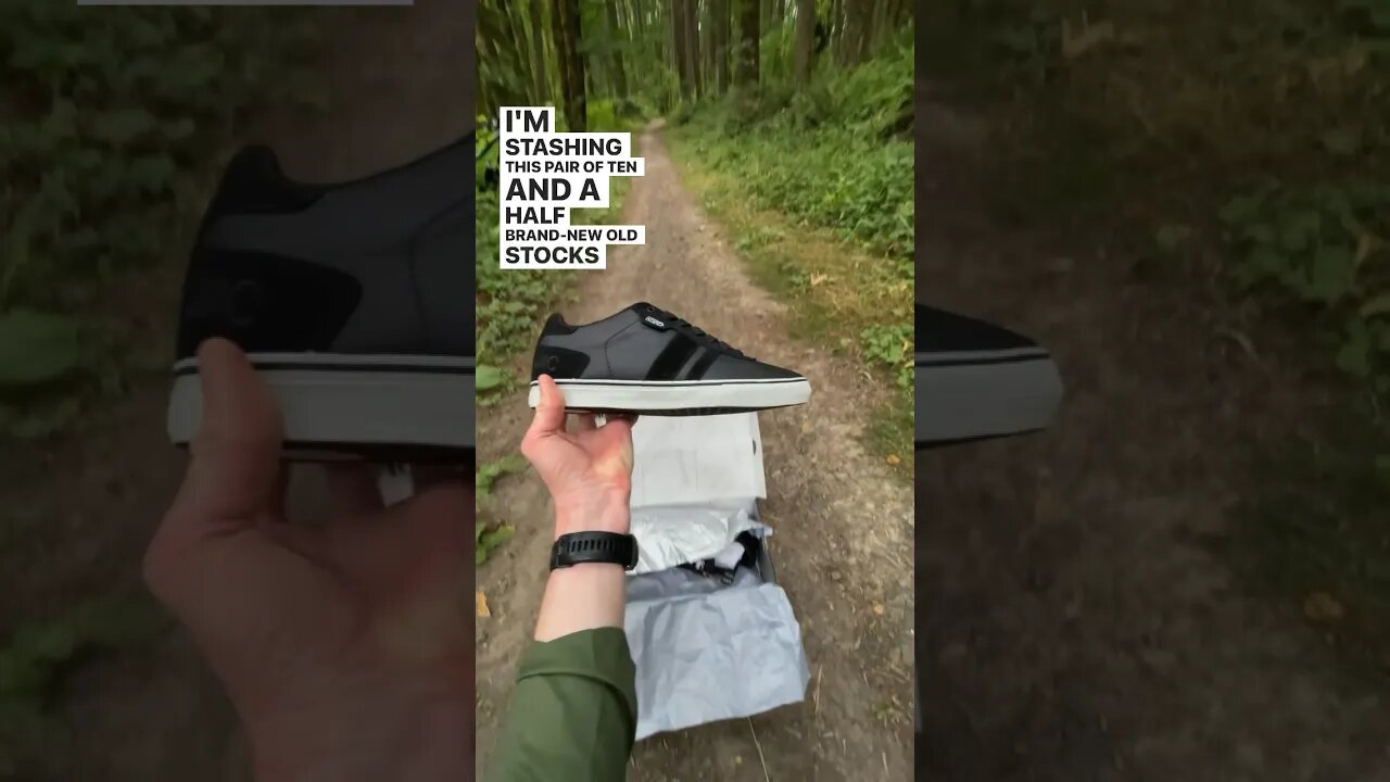 I designed these shoes in 2009