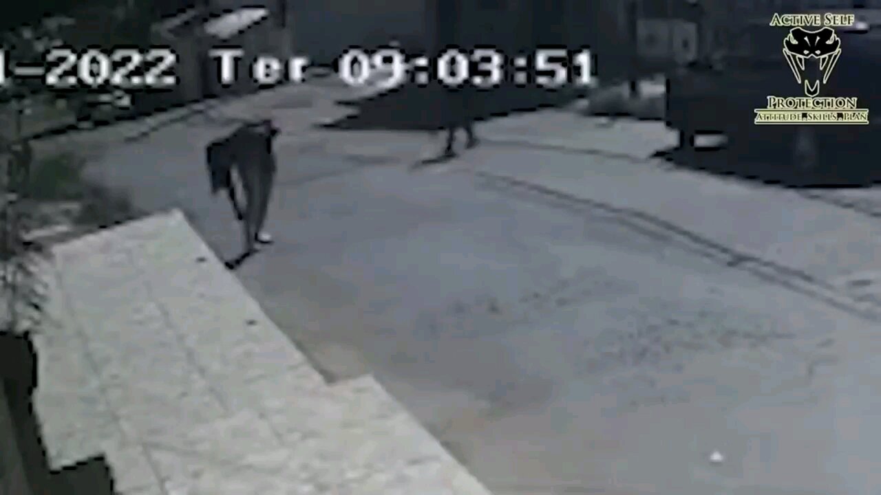 FAFO: Thief mugs someone in broad daylight, karma ensues.