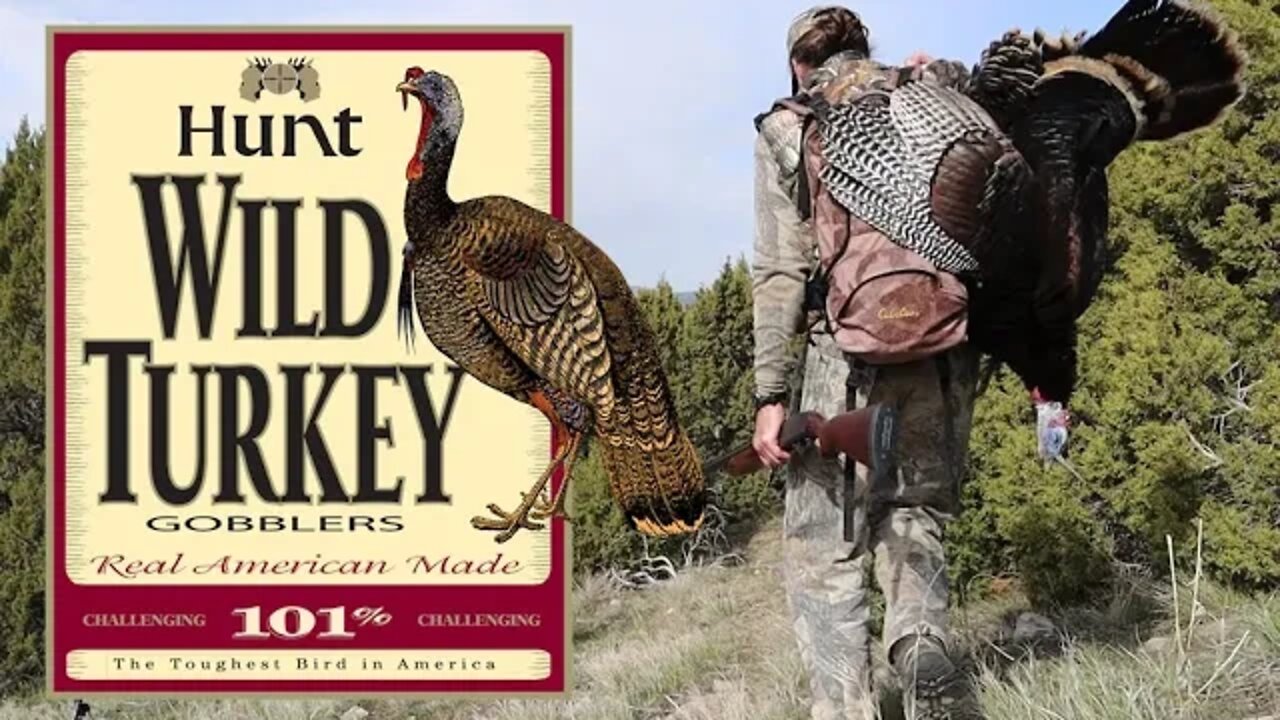 2020 Idaho Turkeys in the Junipers.