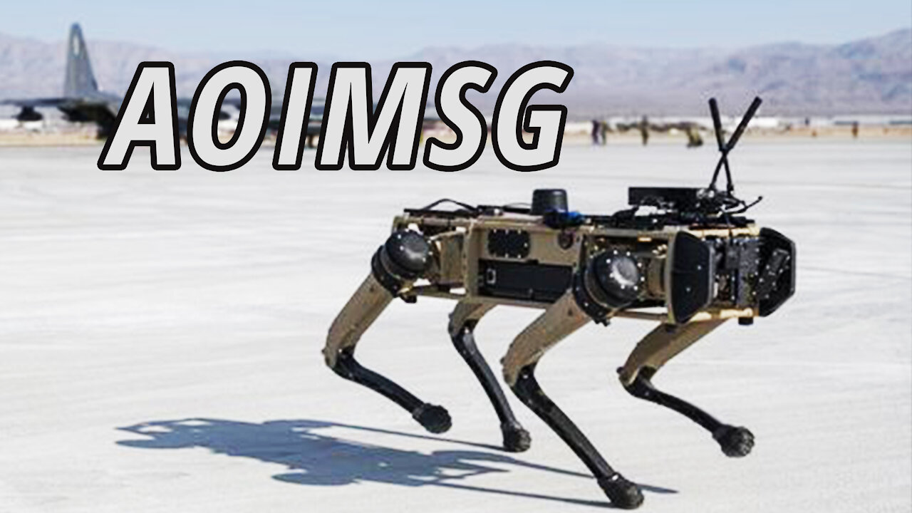 Armed Robodogs to be part of The Airborne Object Identification and Management Synchronization Group