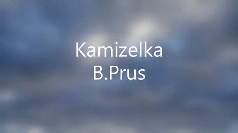 Kamizelka - B.Prus