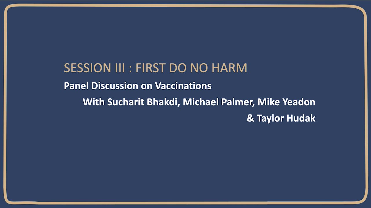 Dr Mike Yeadon, Prof Sucharit Bhakdi, Associate Prof Michael Palmer & Taylor Hudak. 30/7/21