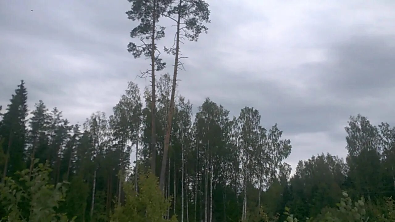 WP 20190819 07 57 29 Pro