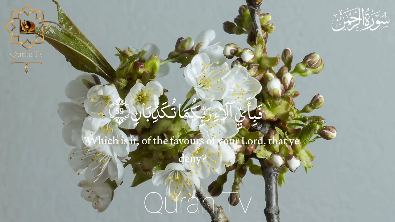 Surah_Rahman___Surah_Rahman_Beautiful_Voice__سورة_الرحمن____Quran_ beautifulvoice English subtitles