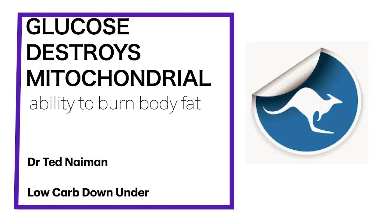 Ted Naiman 3: GLUCOSE DESTROYS MITOCHONDRIALability to burn body fat