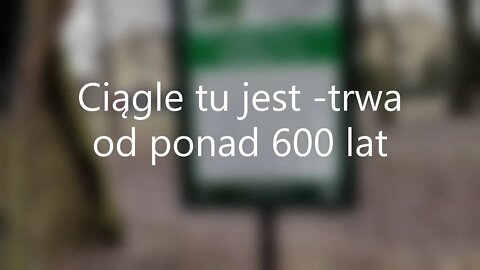 Ciągle tu jest , trwa od ponad 600 lat :):) Anna Budzik