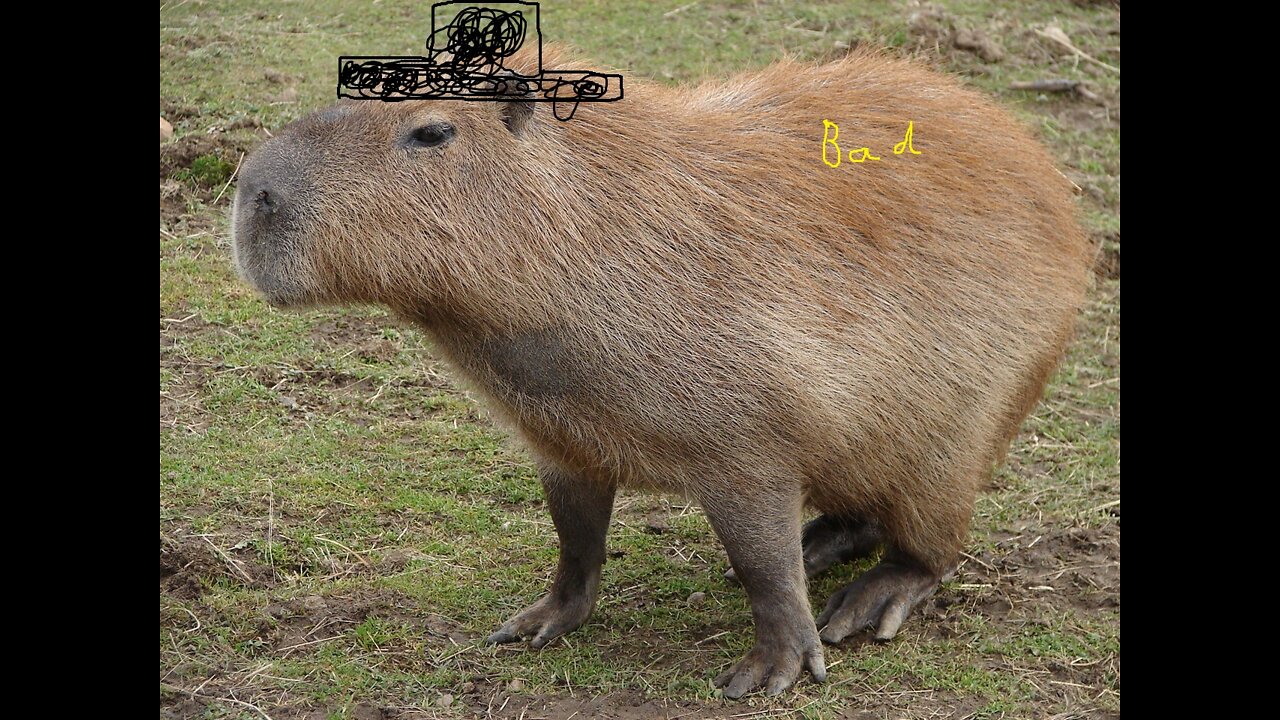 The Revenge of Capybara (RLP) 1.4