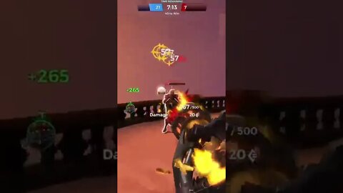 paladins