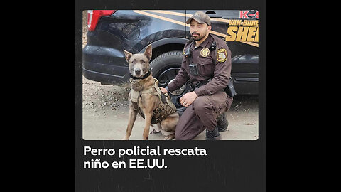 Un perro policía rastrea a un niño desaparecido