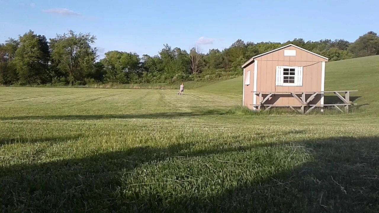 Blue Collar Training - Dragging a 190 lb Sled Backwards