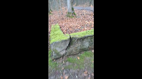 Leftovers of Nazi Flak Station in Creepy Forest Known for Executions in Medieval Times