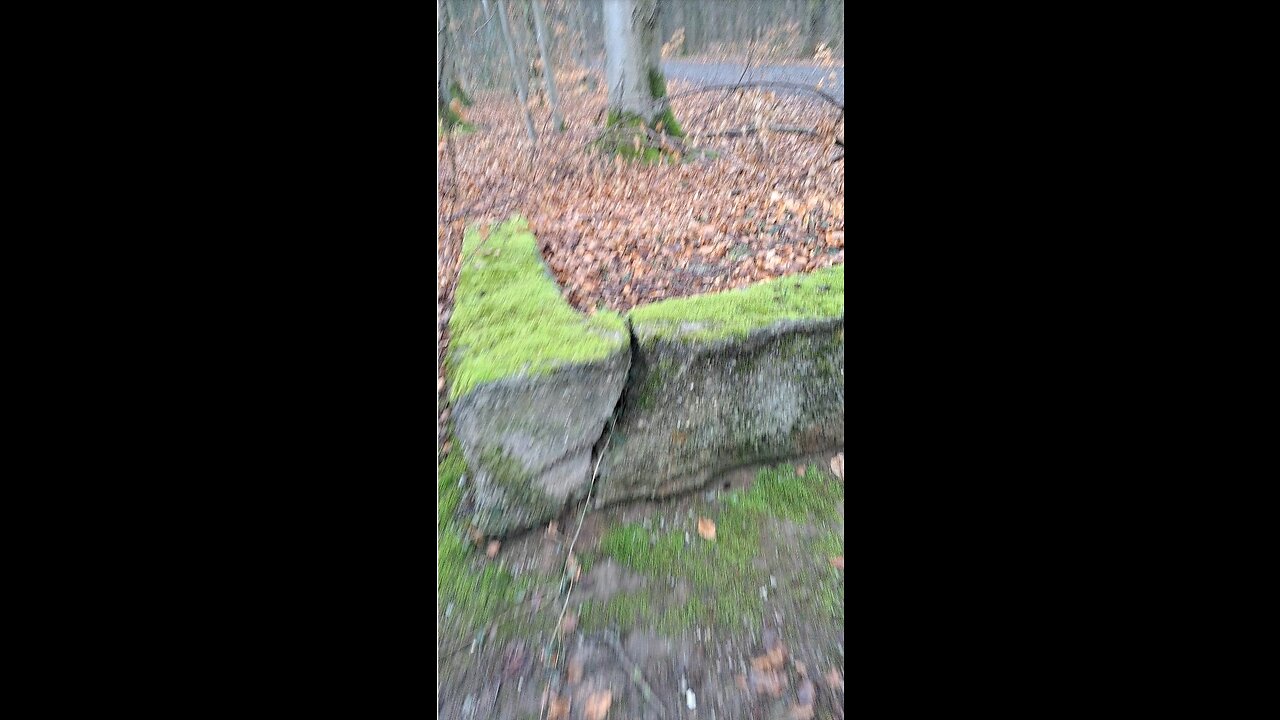Leftovers of Nazi Flak Station in Creepy Forest Known for Executions in Medieval Times
