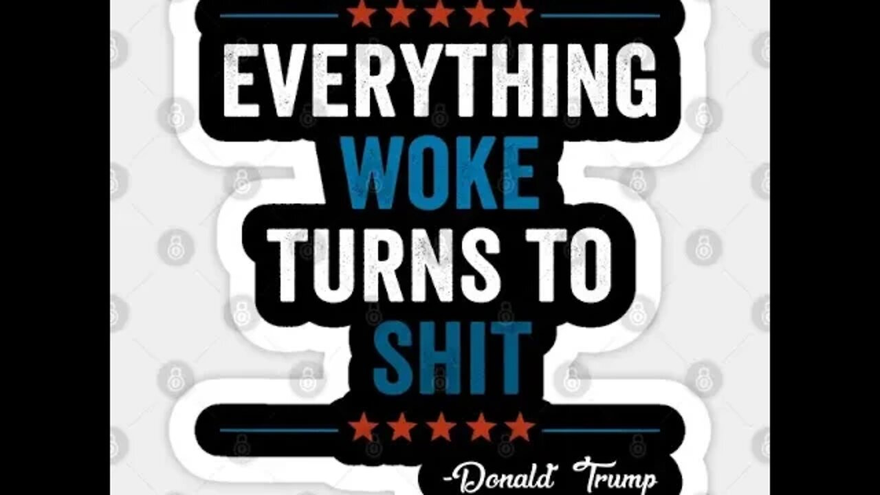 Shitty Woke mags made cool #4