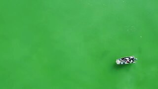 Drone Footage of Alaskan Salmon Catch! (Sockeye) #shorts