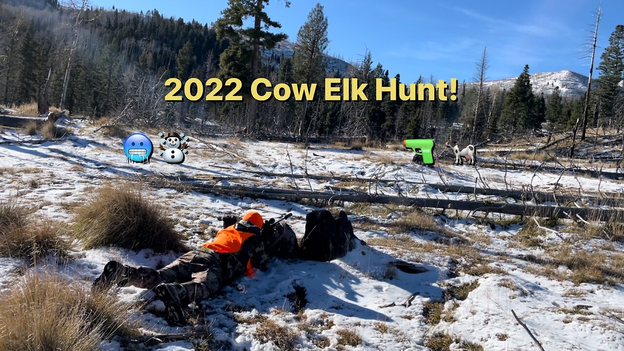 New Mexico Cow Elk Hunt