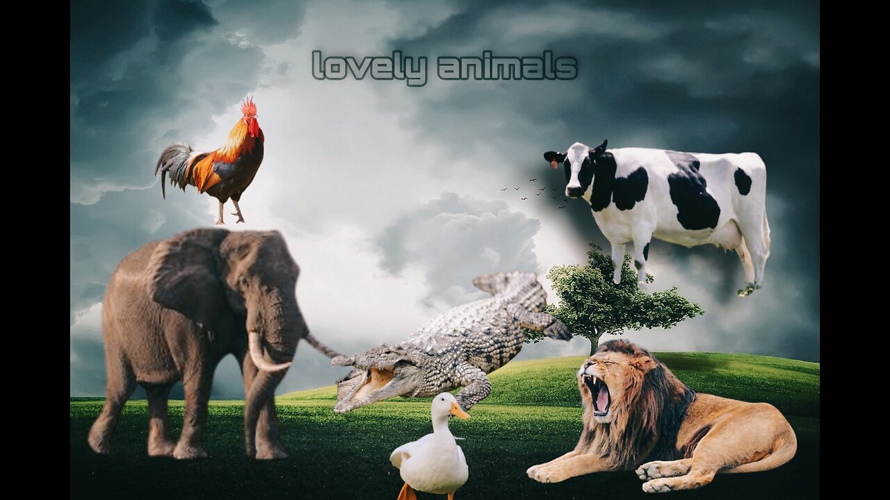 Lovely animals, animals sound, cute animals