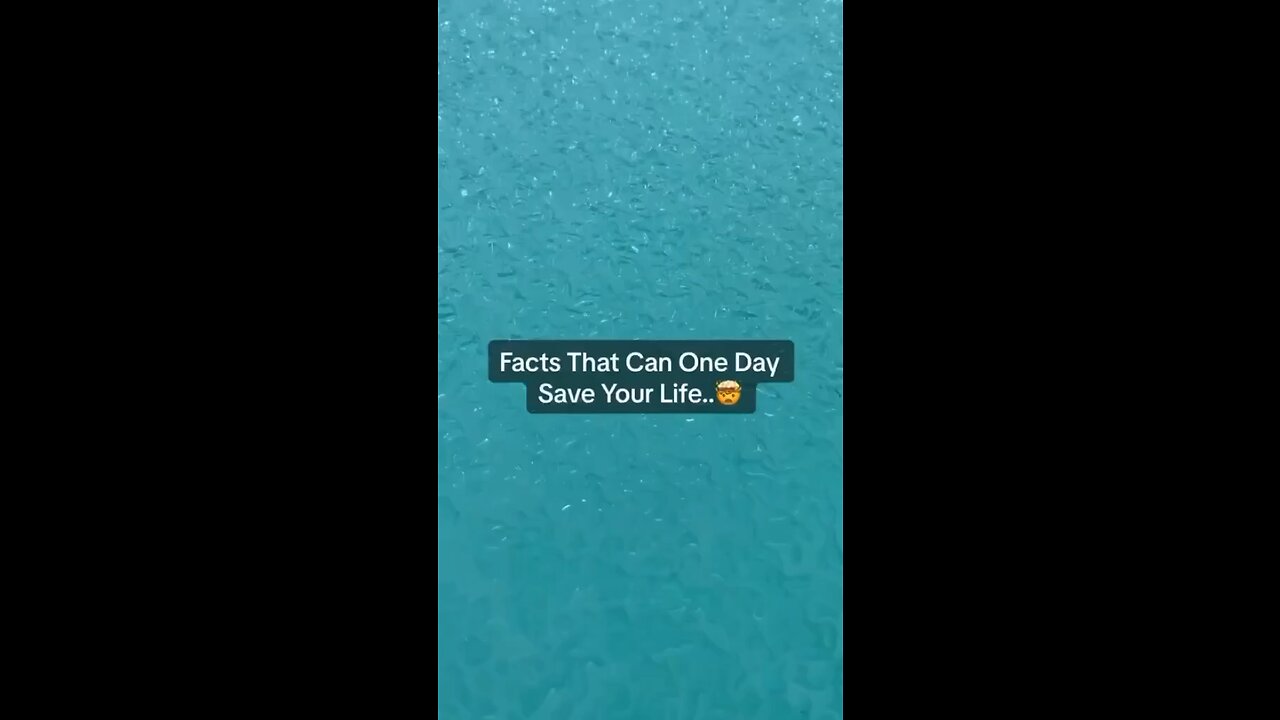 Facts that can one day save your life ..