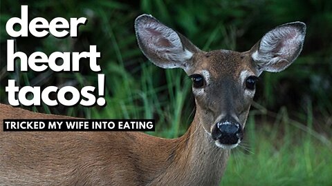 Deer Heart Tacos! (Catch-Clean-Cook)
