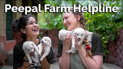 Farm Helpline! | Animal Rescue | Dog Training | Animal First Aid