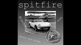 Spitfire | Enrico Milano aka Mr. Dub