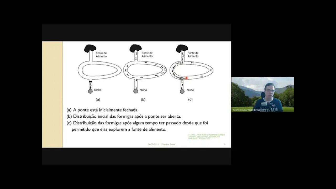 11 - Ant Colony Optimization - Computação Inspirada pela Natureza (Versão Meet)