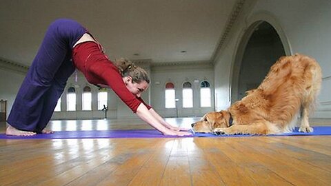 2-When Your Dog Is Your Furry Twin 🙈🤣Funny Dog and Human