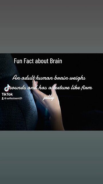 Fun facts about brain