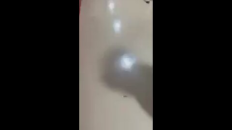 School fight