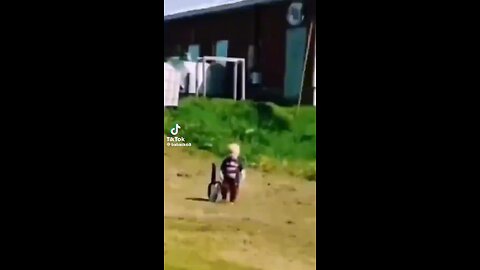 Kids play with cat