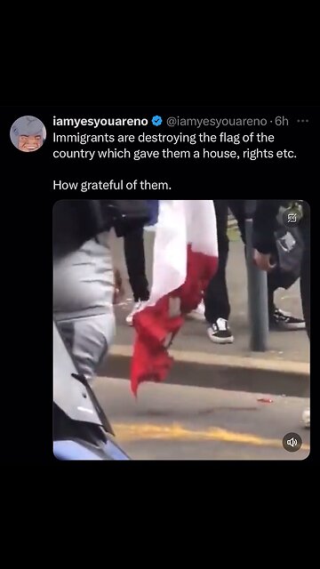 Immigrants burning French flag