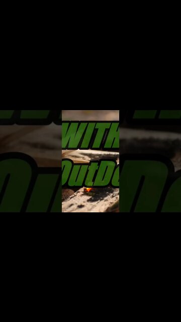 Got Outdoors Fishing!