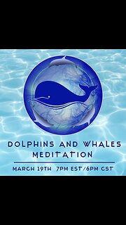 Dolphin and Whale Meditation