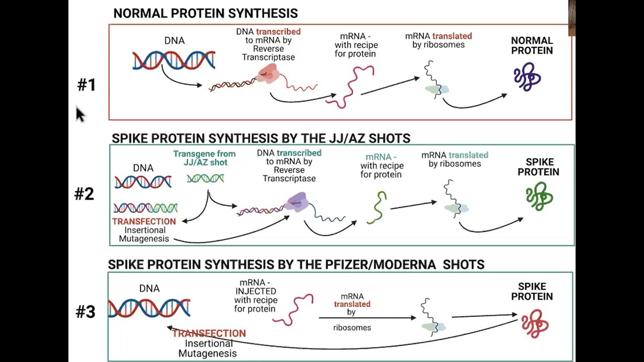 Dr Sherri Tenpenny - How Spike Proteins Work (as in Covid-19)