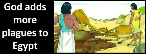 Bible study Exodus Chapter 9 Explained